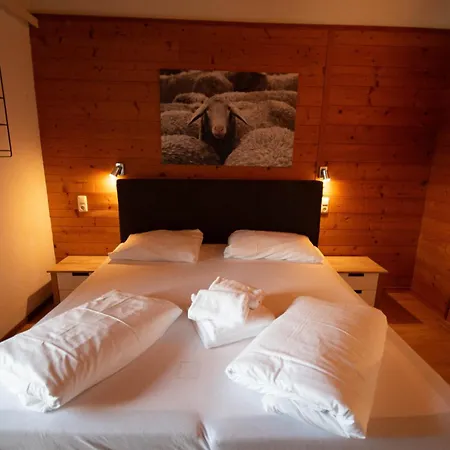 Edelweiss Zell Am Apartman